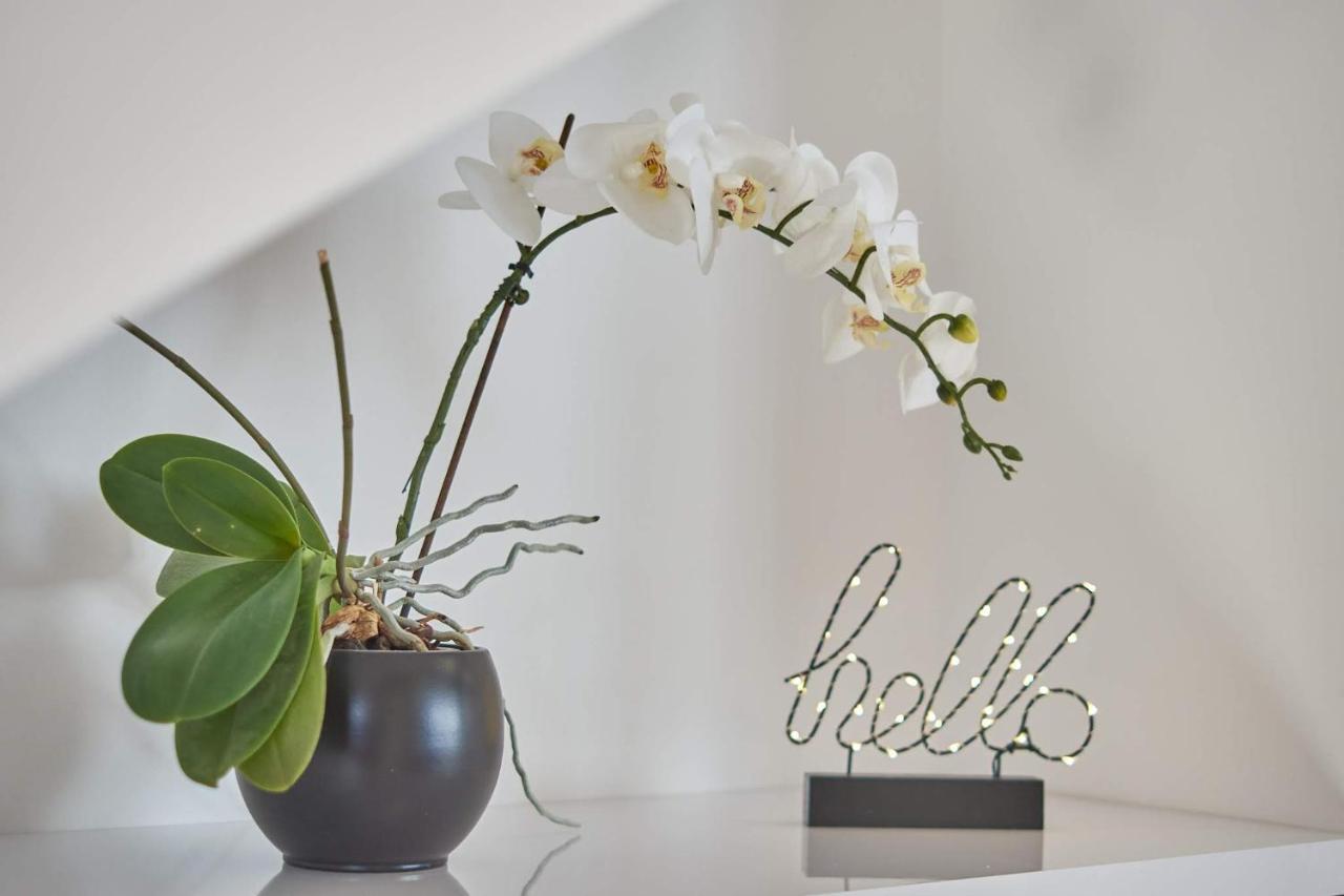 Apartman Rafi Cakovec Ngoại thất bức ảnh